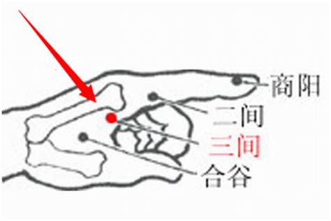 三間穴位置|三間穴在哪裡？按摩三間穴有什麼作用？